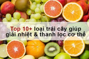 top 10 loai trai cay giup giai nhiet va thanh loc co the | Thuận Phát Technical
