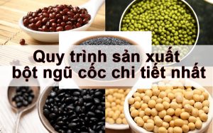 quy trinh san xuat bot ngu coc | Thuận Phát Technical