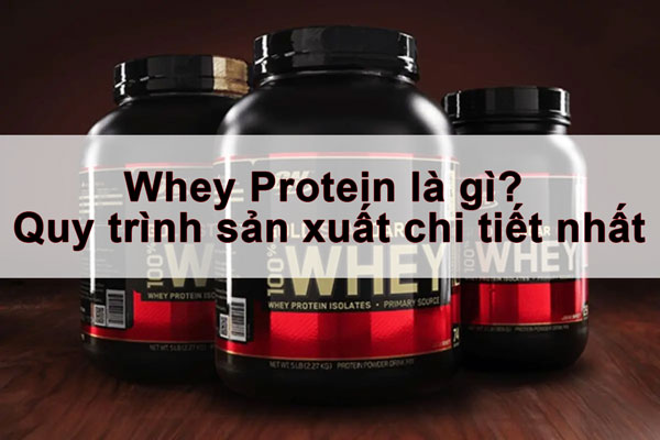 whey protein | Thuận Phát Technical